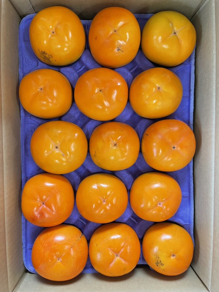 身知らず柿 壱心 4Lサイズ 5kg